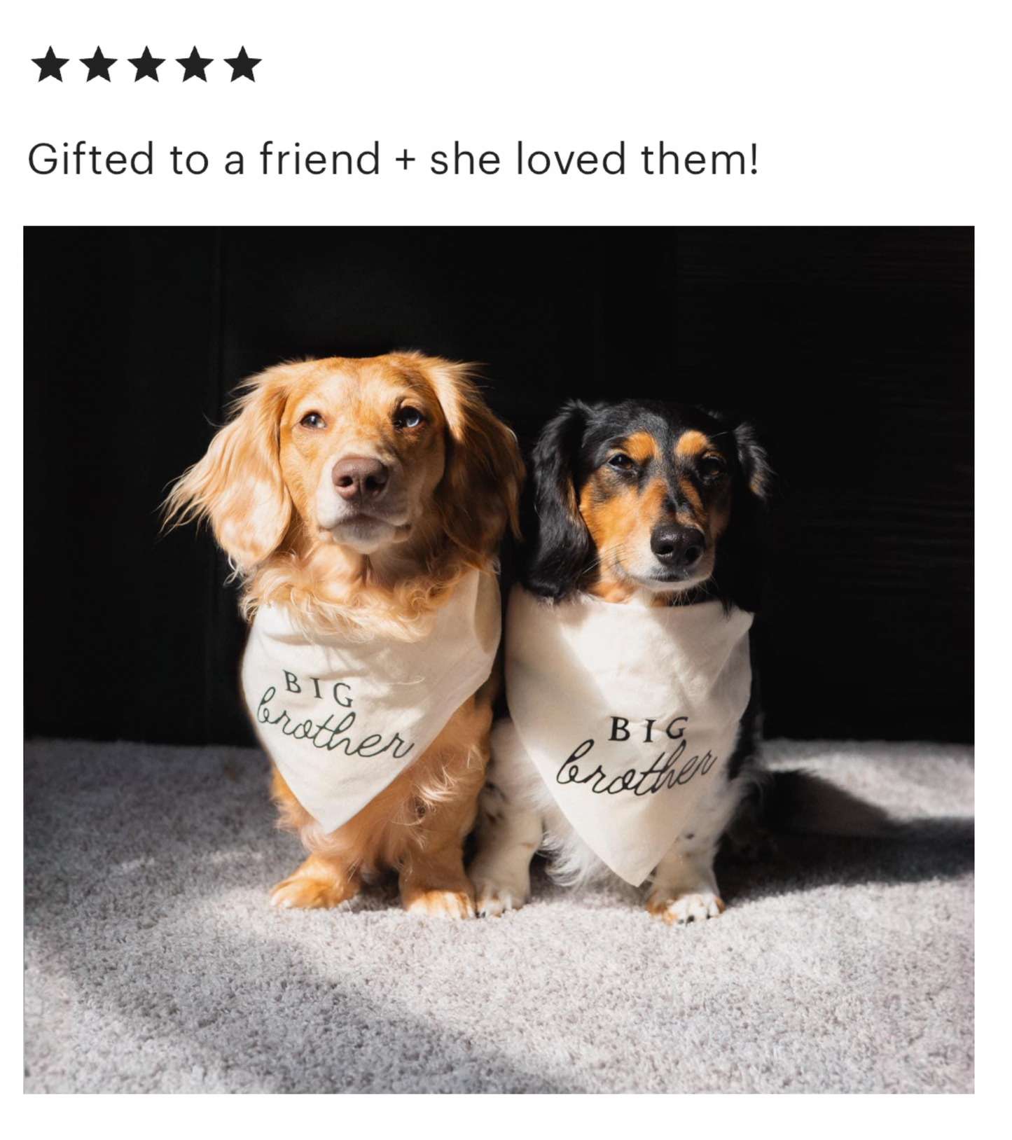 Big Brother Dog Bandana for Pregnancy Announcement | Maternity Photoshoot | Baby shower Gift| Neutral | Boho | Natural Linen | Aesthetic | Oatmeal Beige